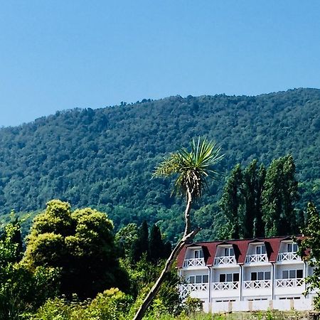 Palm Hotel New Athos エクステリア 写真