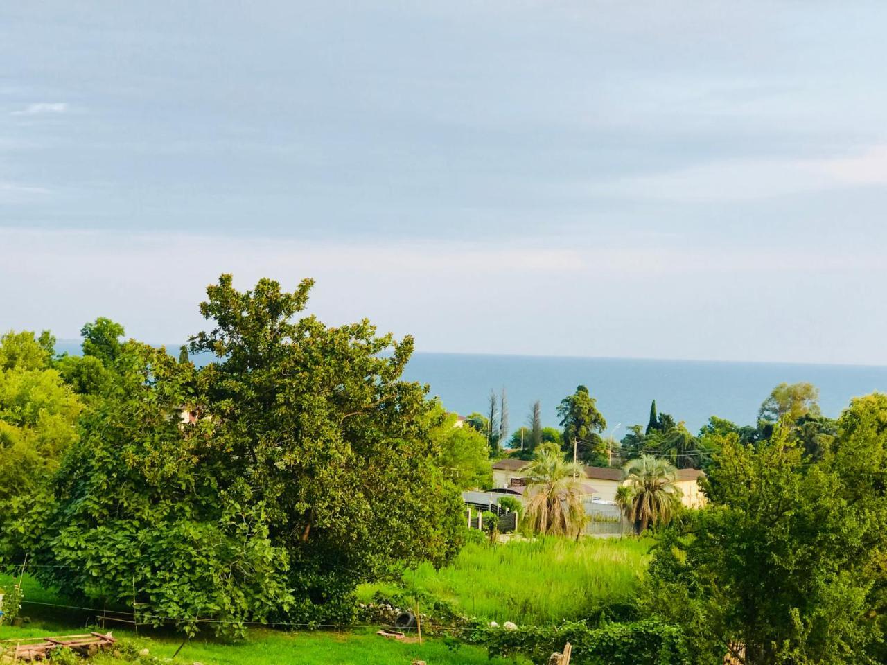 Palm Hotel New Athos エクステリア 写真