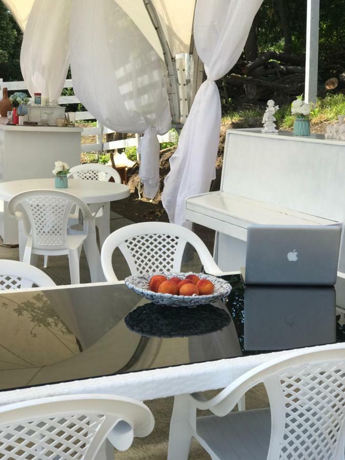 Palm Hotel New Athos エクステリア 写真